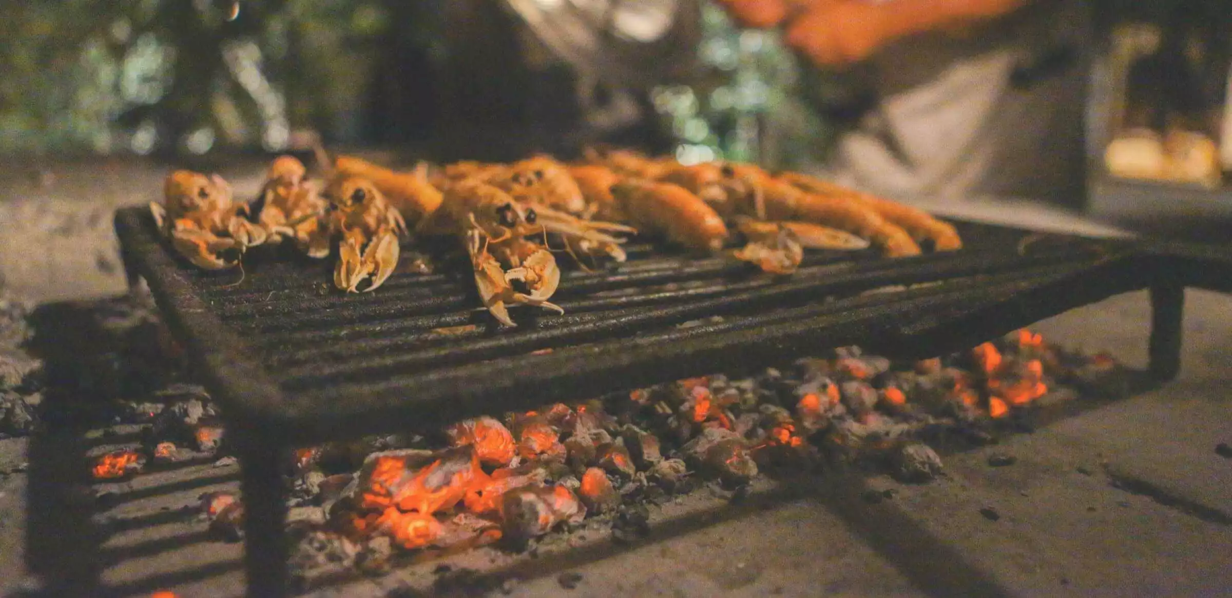 Grilled shrimps and other freshly caught of the day 