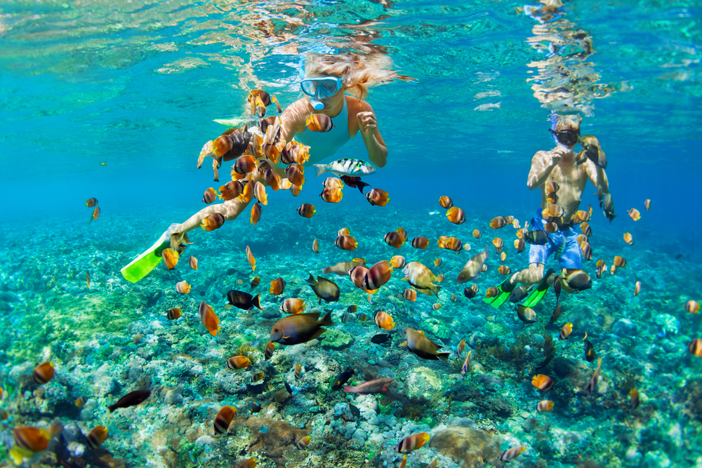 sport acquatici da praticare a bordo: snorkelling