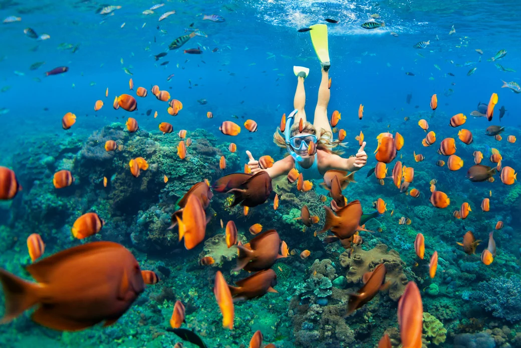 Underwater in the Bahamas